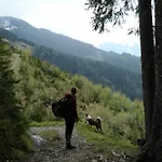 Wanna Rise Zell am See