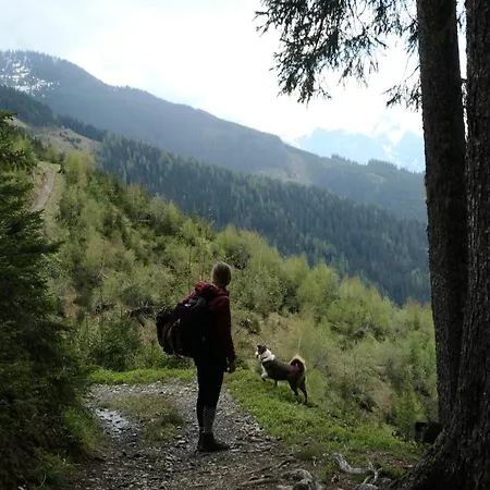 Wanna Rise 滨湖采尔