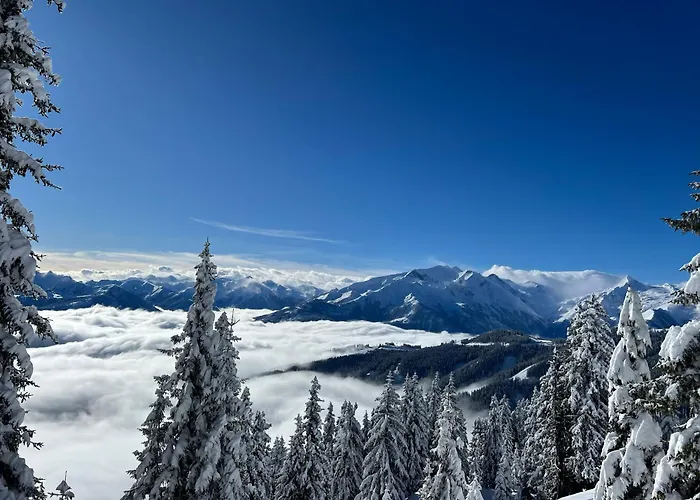 Wanna Rise شقة زيل أم سي