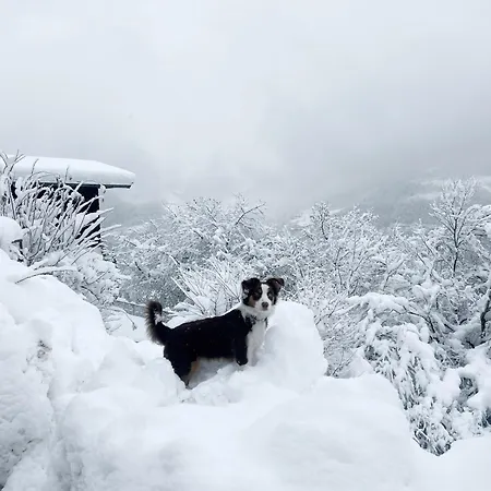 Wanna Rise * Целль-ам-Зе