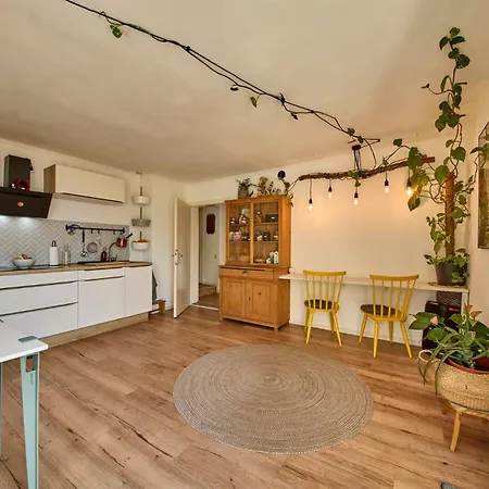 Wanna Rise Апартаменты Целль-ам-Зе